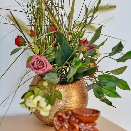 Smarald 1 * Navodari