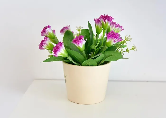 아파트 Smarald 1 Năvodari